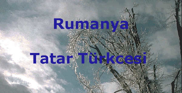 rumanya-tatar türkcesi